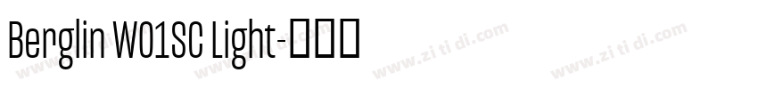 Berglin W01SC Light字体转换